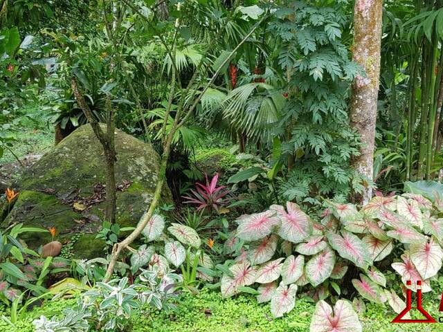 Chácara para Venda em Ubatuba - 3